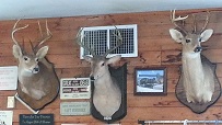 Suwannee River Cafe