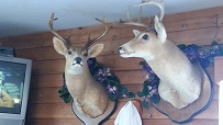 Suwannee River Cafe