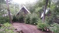 Wild Turkey's Roost
