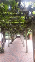 Antler Hill Winery