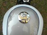 XL1200L Fuel Tank