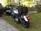 XL1200L Left Rear