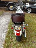 XL1200L Rear View