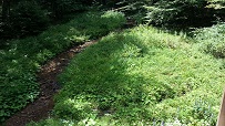 Climbing Toward Whitaker