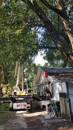 Backyard Tree Removal Getting Rigger In Place