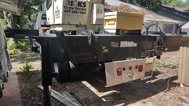 Backyard Tree Removal Rigging And Removing Third Tree