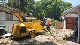 Backyard Tree Removal All That Remains Being Shredded