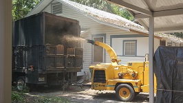 Backyard Tree Removal All That Remains Being Shredded