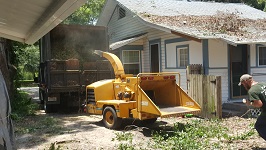 Backyard Tree Removal All That Remains Being Shredded
