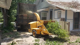 Backyard Tree Removal All That Remains Being Shredded