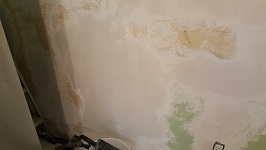 The Second Coat Completed