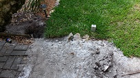 Sprinklers